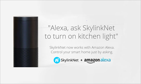 skylinknet amazon alexa | smart home solutions